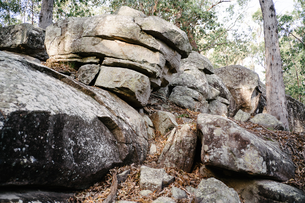 Looking for boulders to climb.