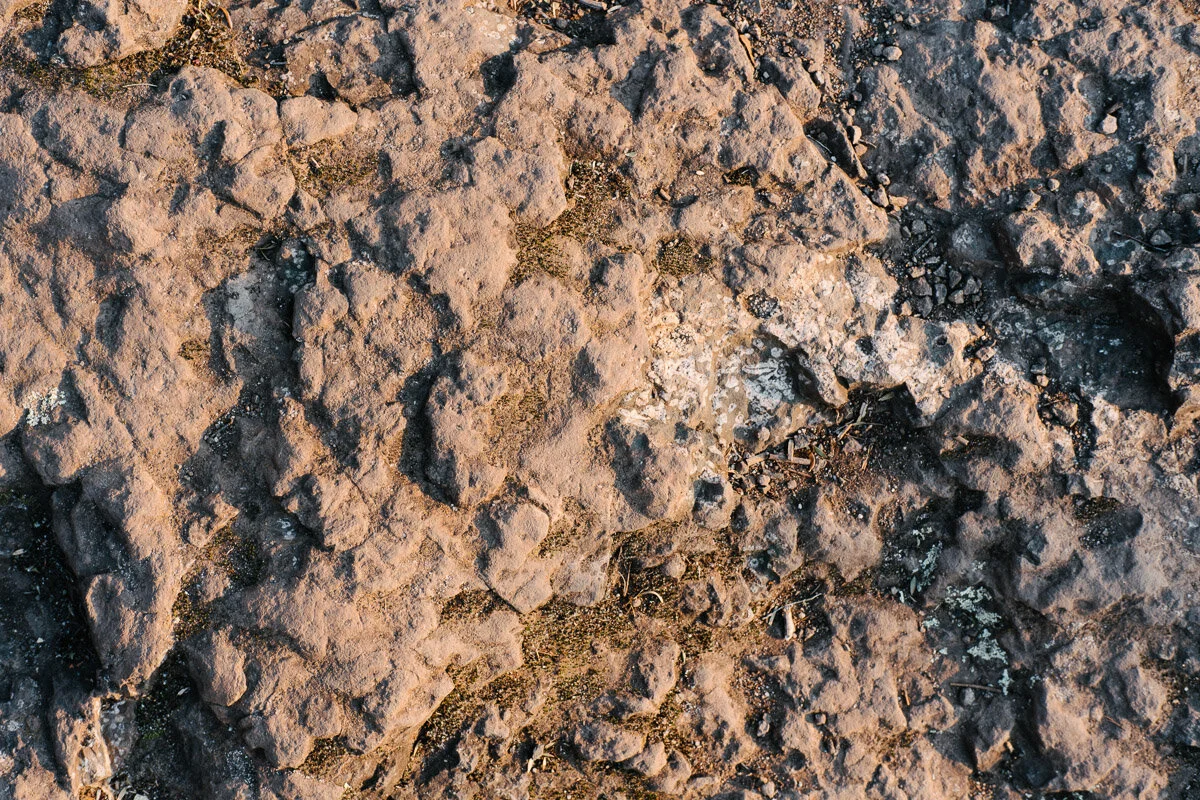 Rock and dirt under morning light.