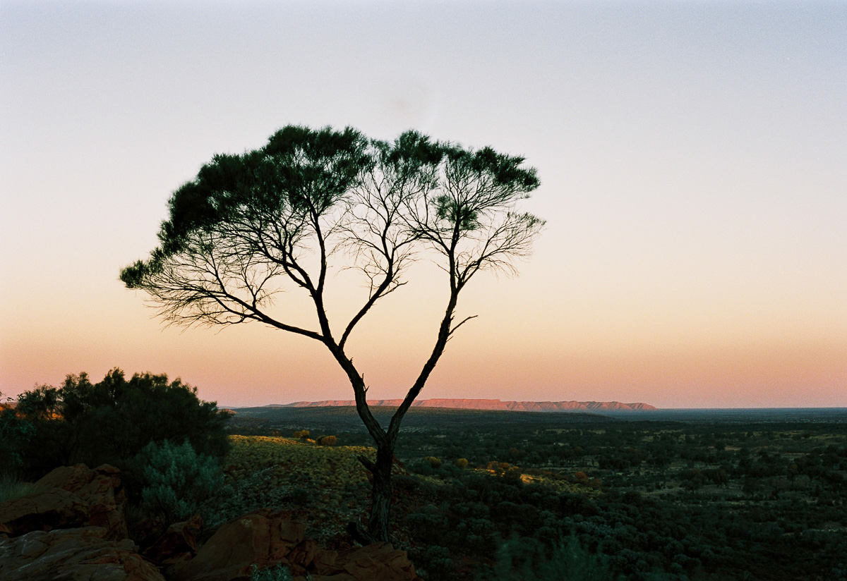 20190606+-+Roll+299+-+19-Nick-Bedford,-Photographer-Australia,+Camping,+Desert,+Kodak+Portra+160,+Leica+M7,+Northern+Territory,+Voigtlander+35mm+F2+Ultron.jpg