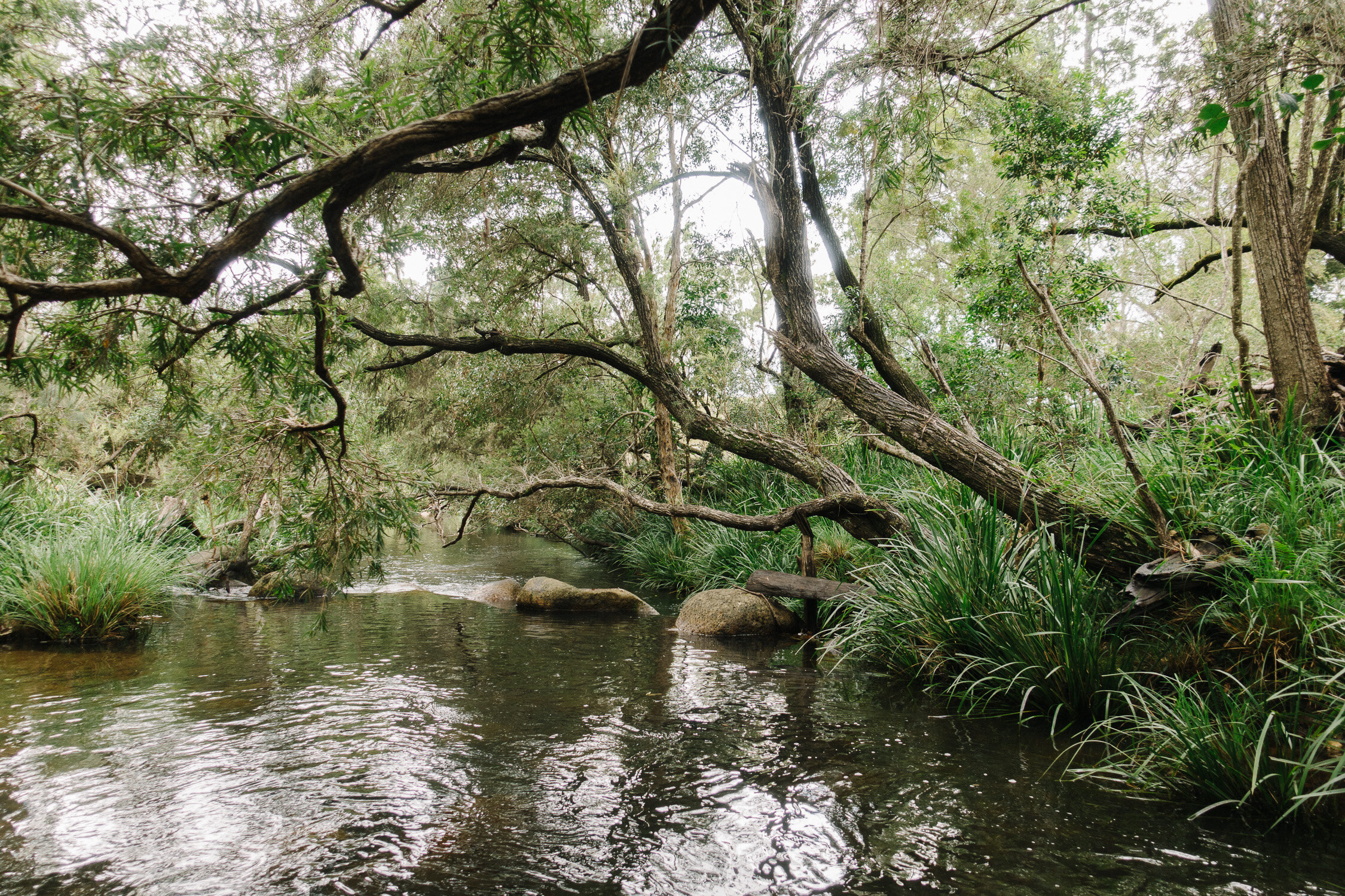  Paddy’s Gully. 