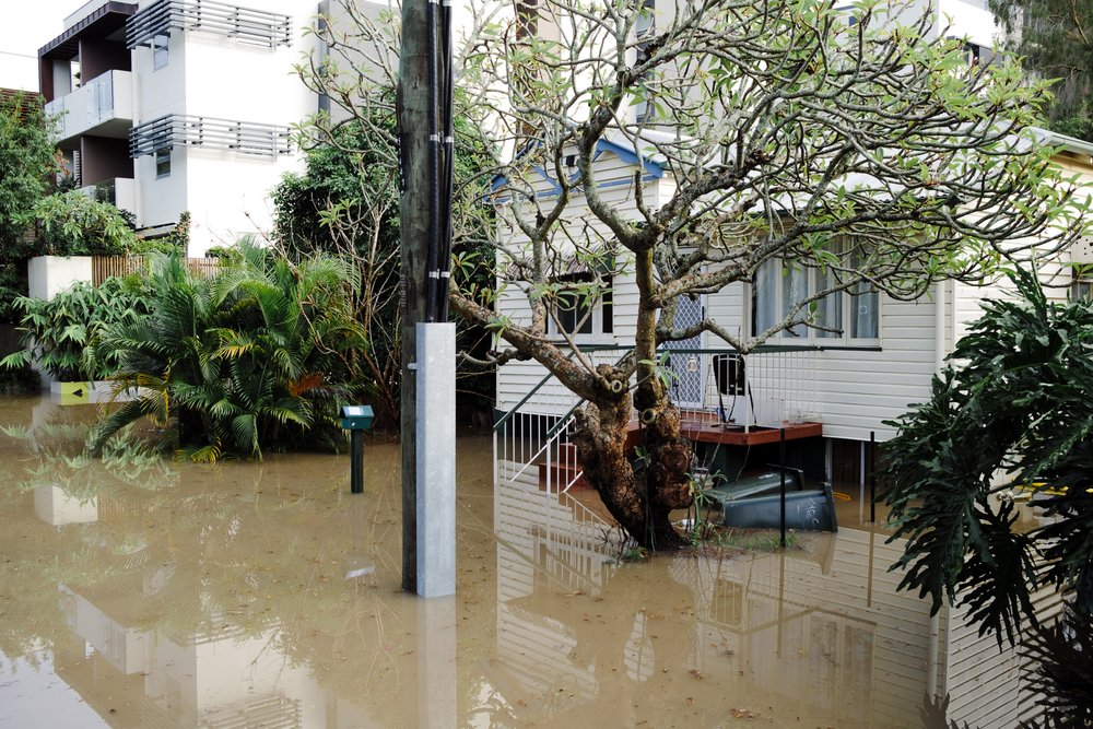 20220228 - Brisbane Floods - 071740-Nick-Bedford,-Photographer-Australia, Brisbane River, Flooding, Queensland, Rain, Storm.jpg