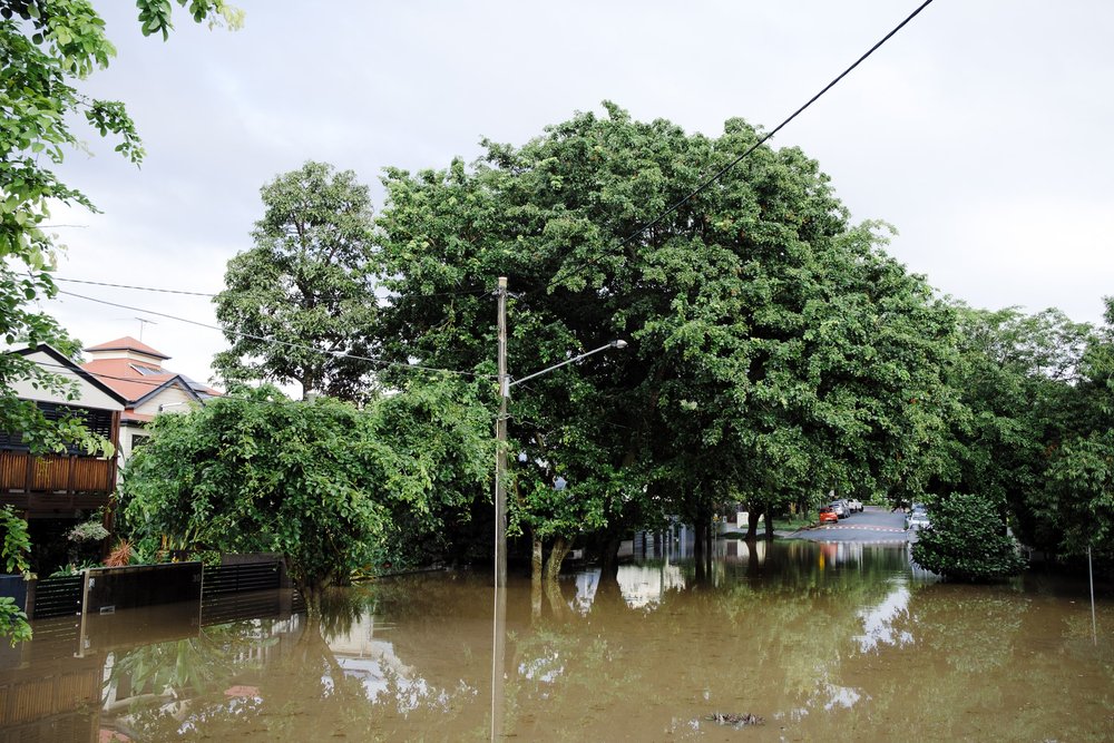 20220228 - Brisbane Floods - 071756-Nick-Bedford,-Photographer-Australia, Brisbane River, Flooding, Queensland, Rain, Storm.jpg