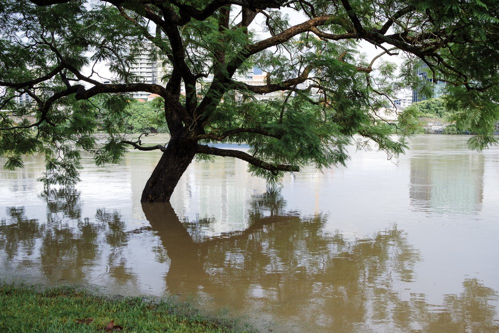 20220228 - Brisbane Floods - 072350-Nick-Bedford,-Photographer-Australia, Brisbane River, Flooding, Queensland, Rain, Storm.jpg