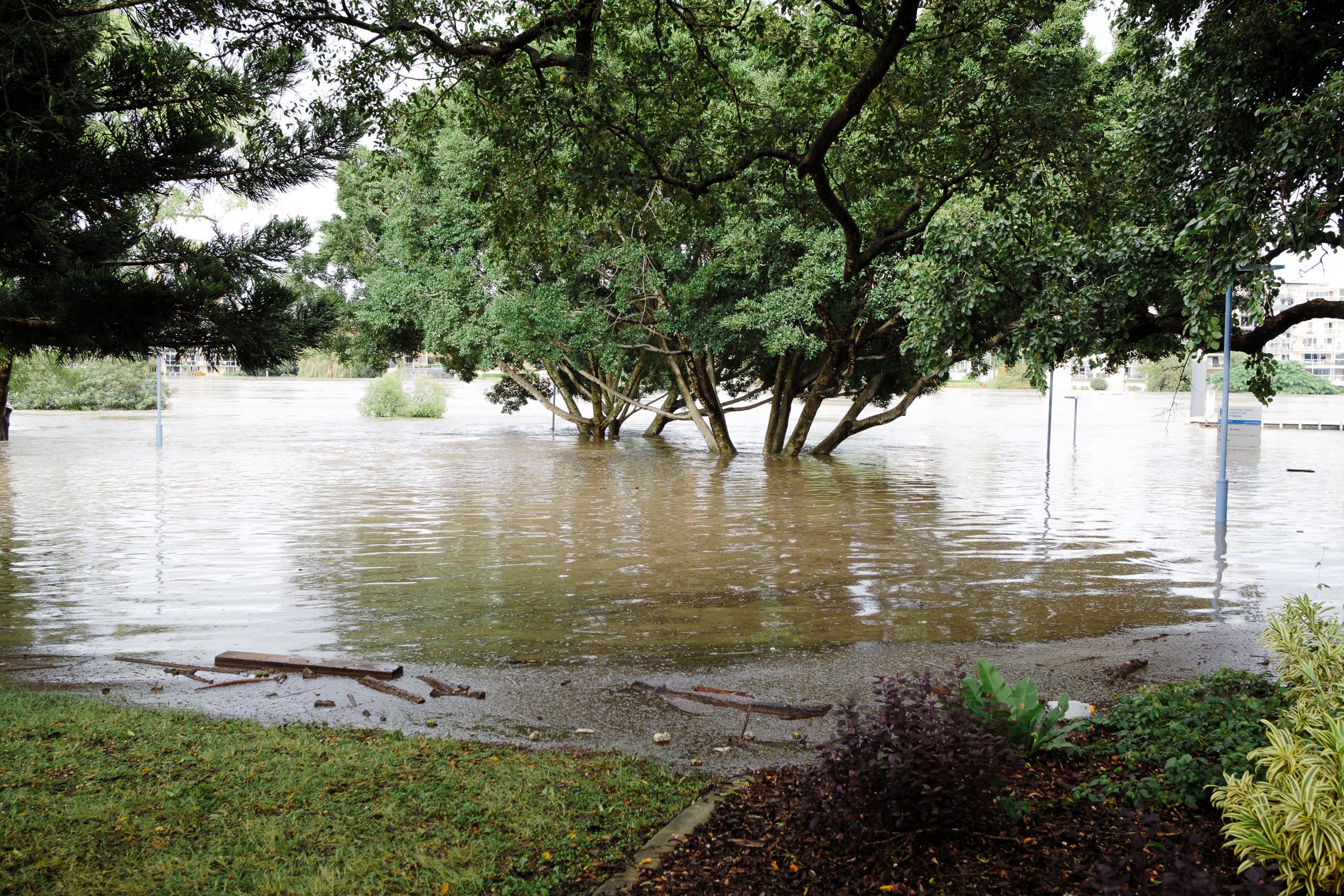 20220228 - Brisbane Floods - 073251-Nick-Bedford,-Photographer-Australia, Brisbane River, Flooding, Queensland, Rain, Storm.jpg