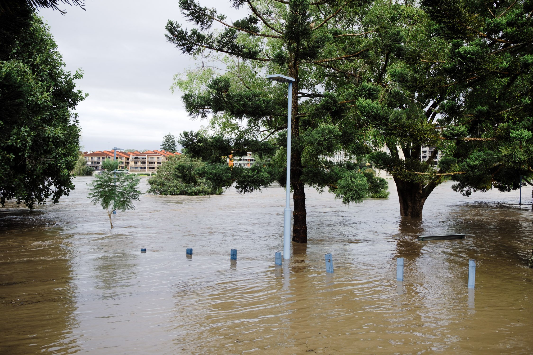 20220228 - Brisbane Floods - 073351-Nick-Bedford,-Photographer-Australia, Brisbane River, Flooding, Queensland, Rain, Storm.jpg