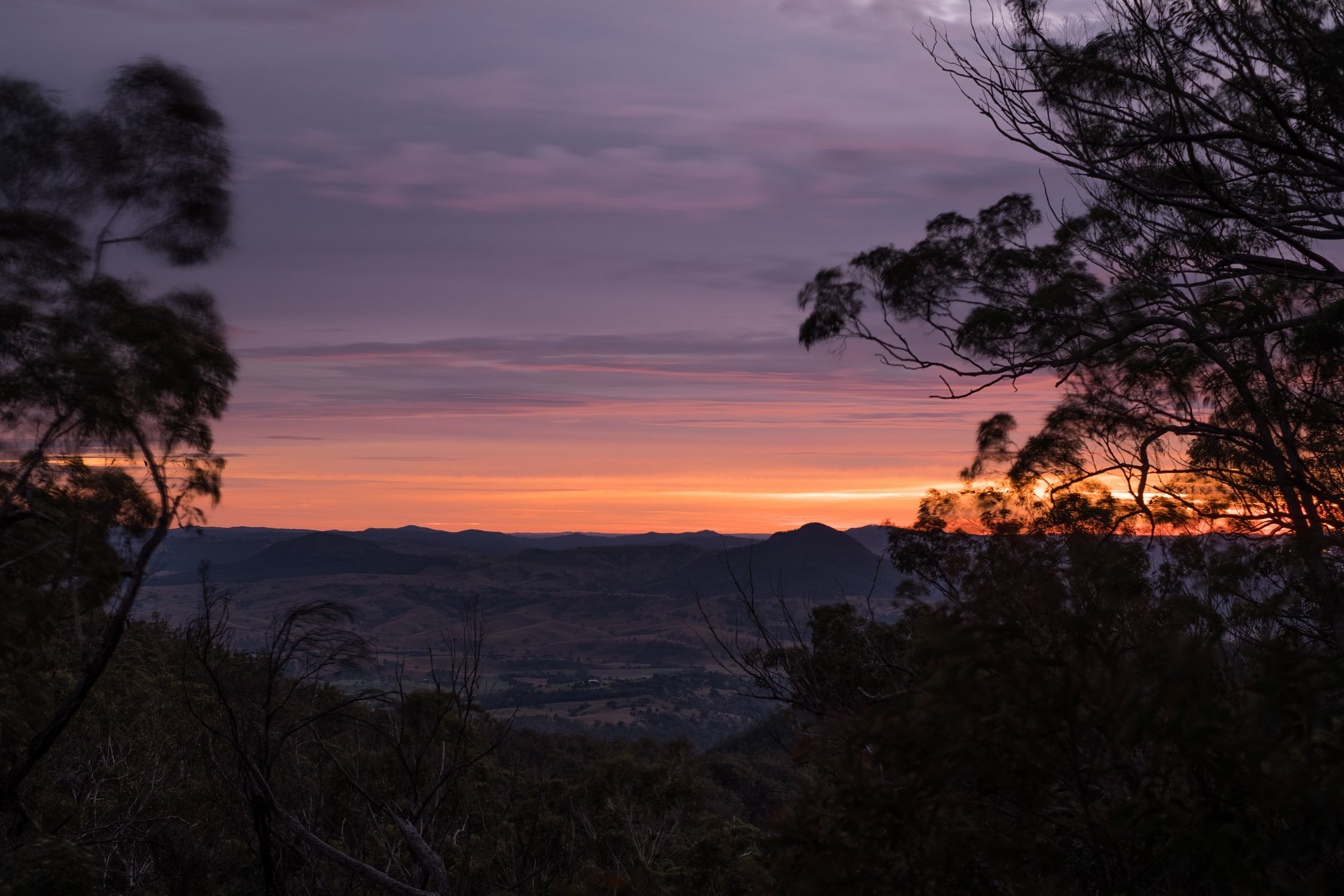 20220530 - Mount May - 060730-HDR-Nick-Bedford,-Photographer-Backpacking, Forest, Fujifilm 35mm F1.4, Fujifilm X-Pro3, Hiking, Landscape Photography, Mountains, Nature, Queensland.jpg