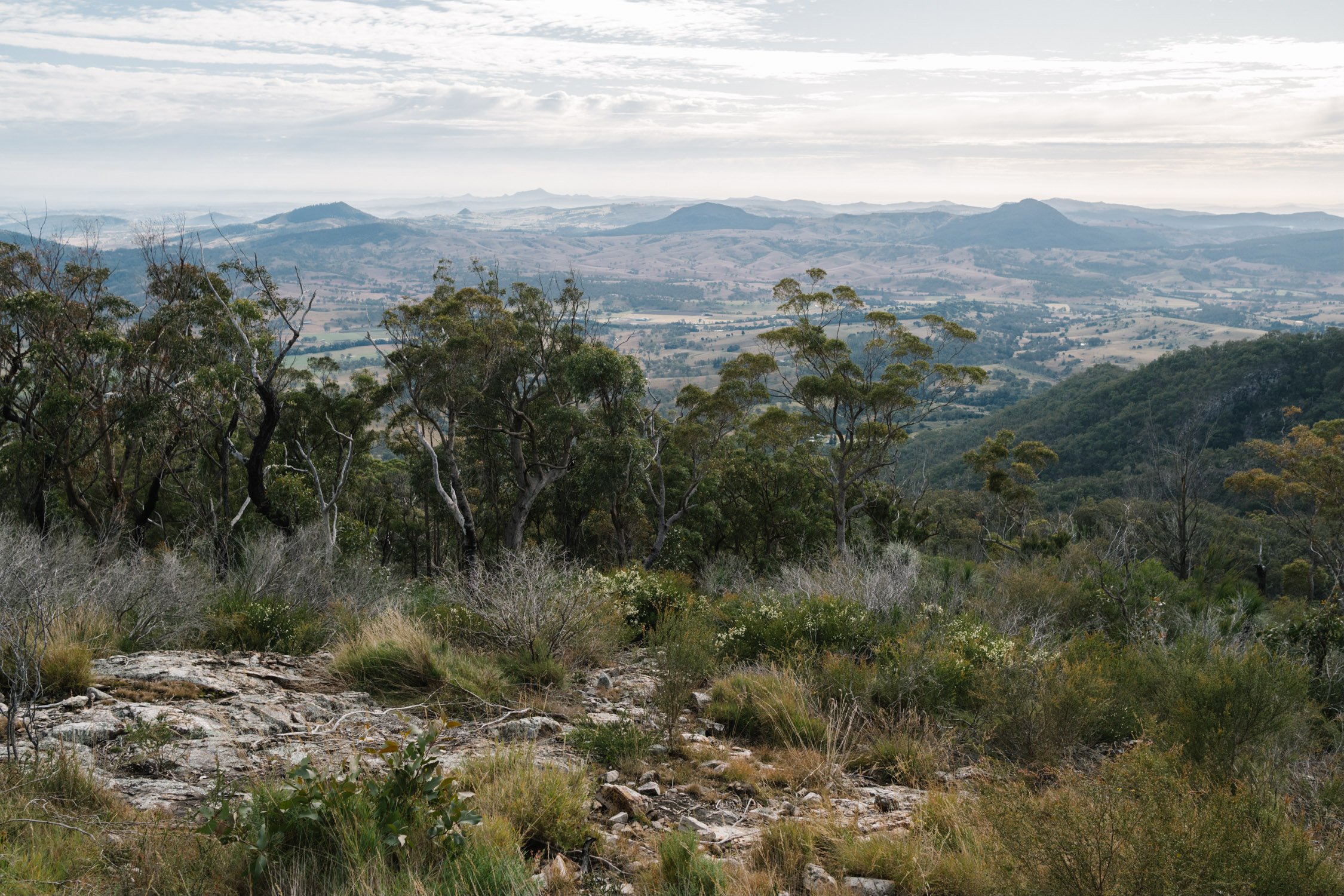 20220613 - Mount May - 083947-Enhanced-Nick-Bedford,-Photographer-Fujifilm 23mm F2, Fujifilm X-Pro3, Hiking, Landscape Photography, Mountains, Nature, South East Queensland.jpg