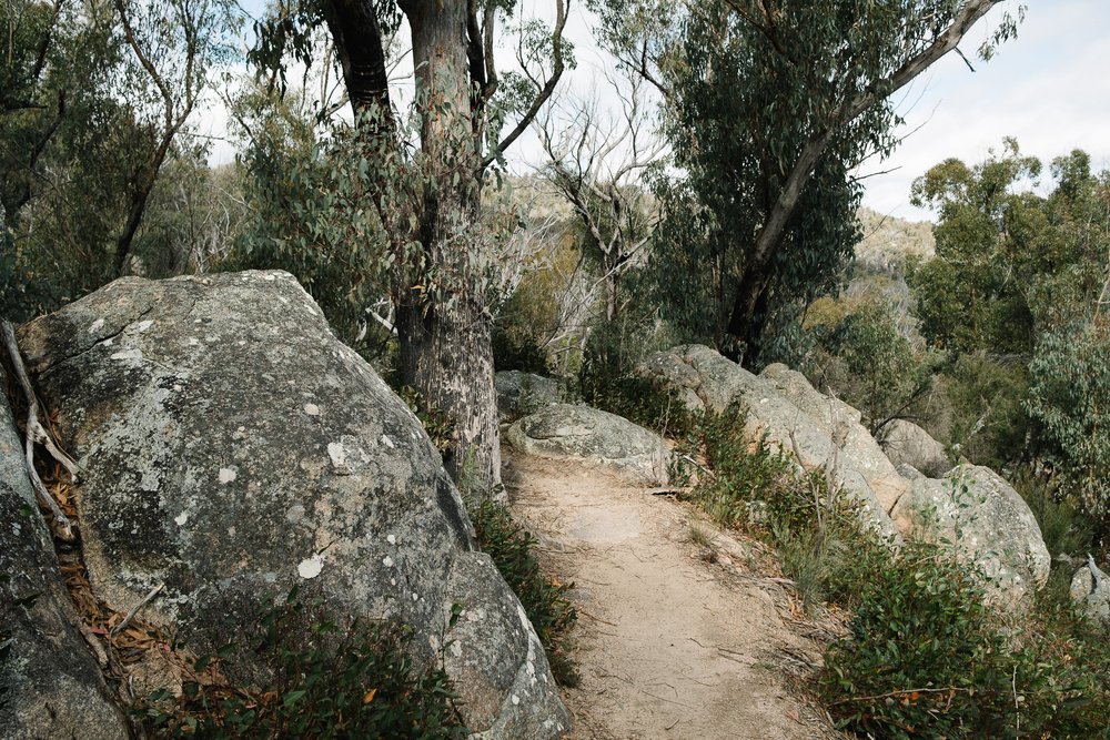 20220723 - Girraween Backpacking - 120746-Nick-Bedford,-Photographer-Australia, Backpacking, Fujifilm 23mm F2, Fujifilm X-Pro3, Girraween National Park, Granite Belt, Hiking, Mountains, Nature, Overnight, Queensland, Trekking.jpg