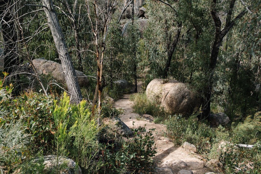 20220723 - Girraween Backpacking - 120914-Nick-Bedford,-Photographer-Australia, Backpacking, Fujifilm 23mm F2, Fujifilm X-Pro3, Girraween National Park, Granite Belt, Hiking, Mountains, Nature, Overnight, Queensland, Trekking.jpg