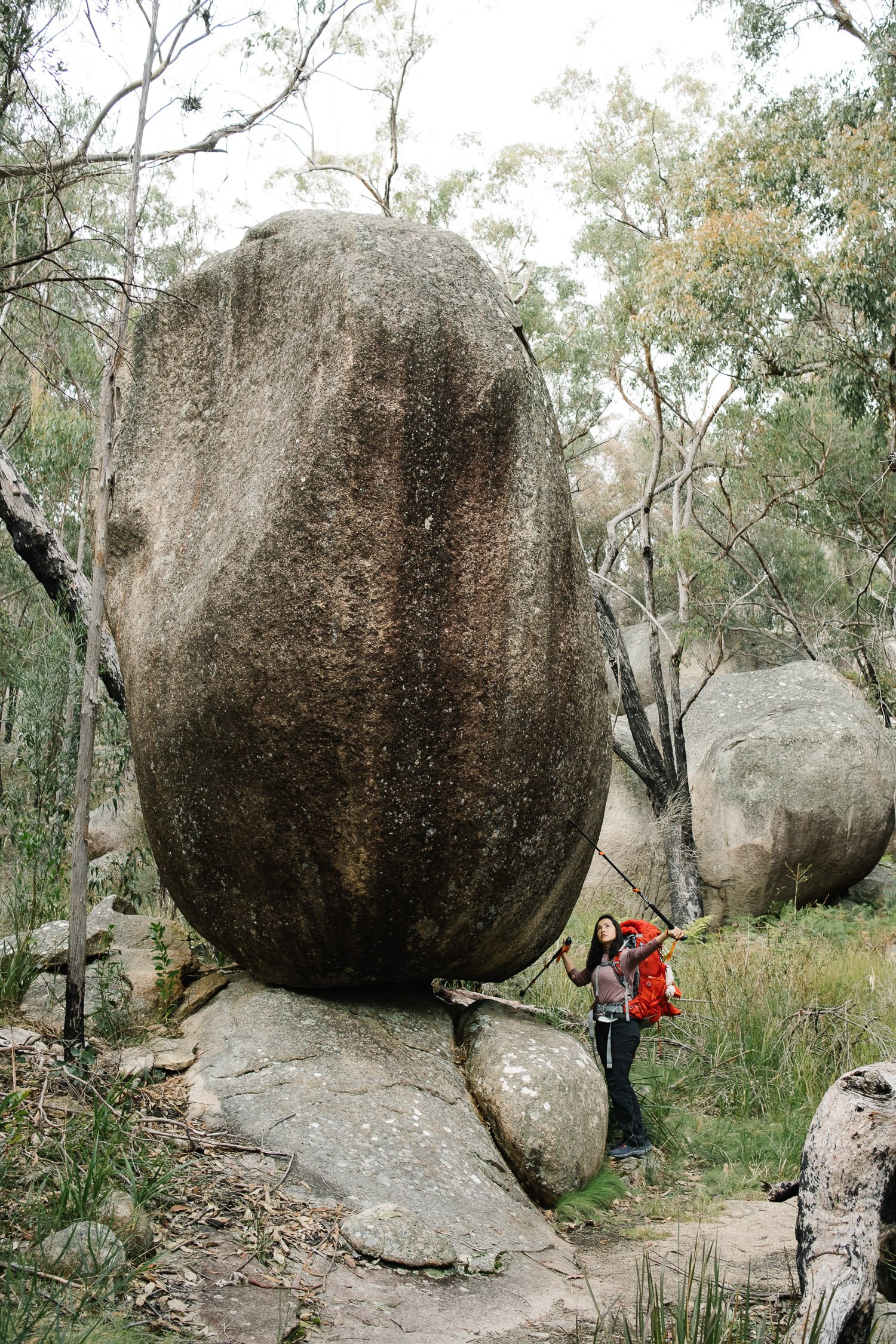 20220723 - Girraween Backpacking - 133235-Nick-Bedford,-Photographer-Australia, Backpacking, Fujifilm 23mm F2, Fujifilm X-Pro3, Girraween National Park, Granite Belt, Hiking, Mountains, Nature, Overnight, Queensland, Trekking.jpg