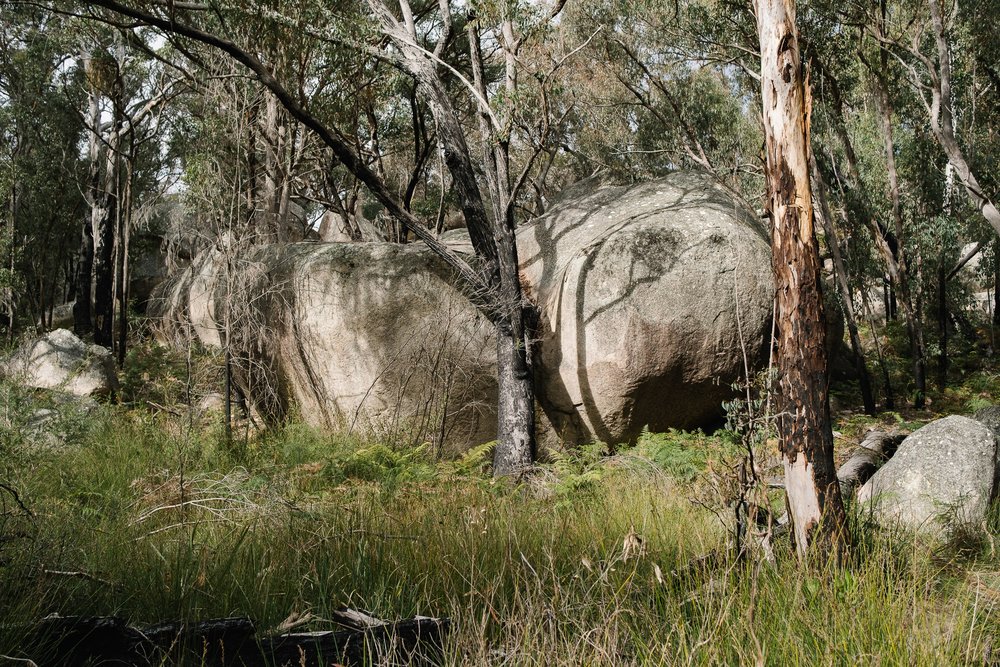 20220723 - Girraween Backpacking - 133537-Nick-Bedford,-Photographer-Australia, Backpacking, Fujifilm 23mm F2, Fujifilm X-Pro3, Girraween National Park, Granite Belt, Hiking, Mountains, Nature, Overnight, Queensland, Trekking.jpg