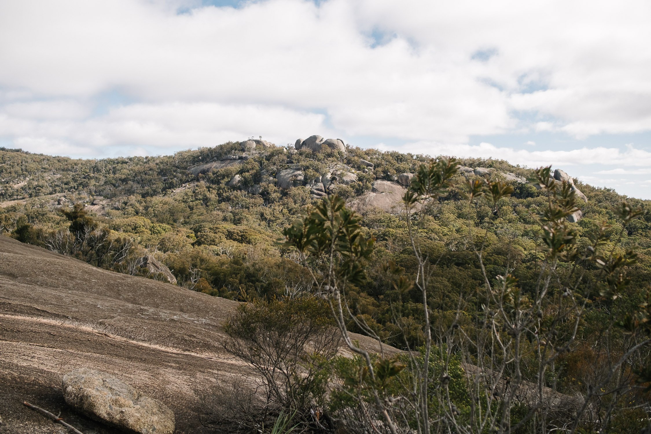 20220723 - Girraween Backpacking - 134606-Nick-Bedford,-Photographer-Australia, Backpacking, Fujifilm 23mm F2, Fujifilm X-Pro3, Girraween National Park, Granite Belt, Hiking, Mountains, Nature, Overnight, Queensland, Trekking.jpg