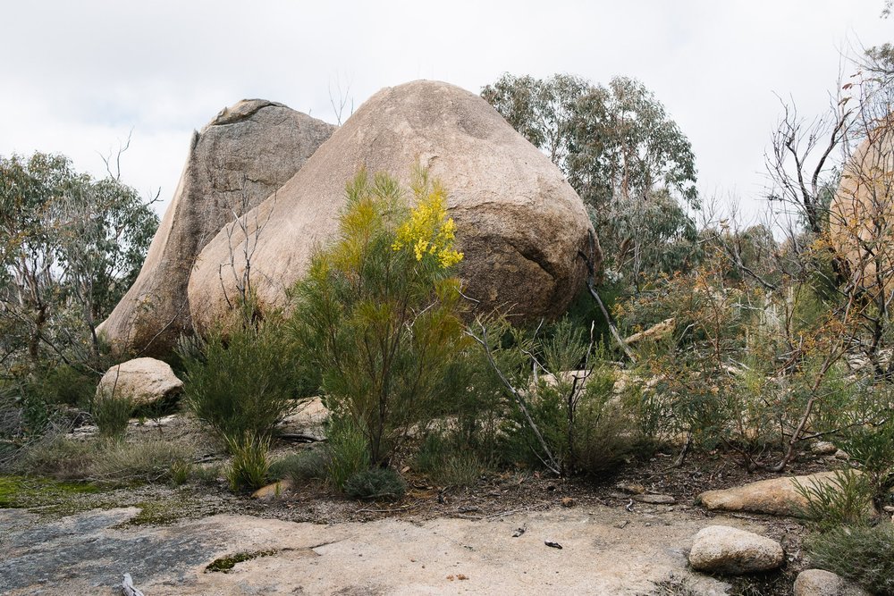 20220723 - Girraween Backpacking - 135137-Nick-Bedford,-Photographer-Australia, Backpacking, Fujifilm 23mm F2, Fujifilm X-Pro3, Girraween National Park, Granite Belt, Hiking, Mountains, Nature, Overnight, Queensland, Trekking.jpg