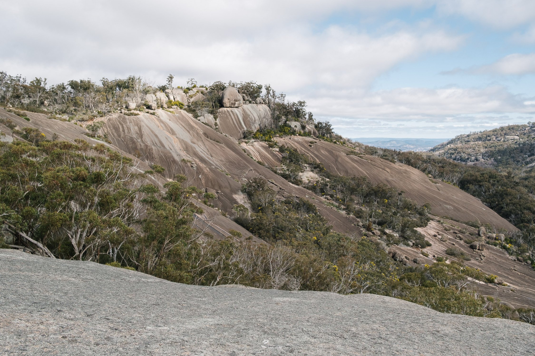 20220723 - Girraween Backpacking - 141237-Nick-Bedford,-Photographer-Australia, Backpacking, Fujifilm 23mm F2, Fujifilm X-Pro3, Girraween National Park, Granite Belt, Hiking, Mountains, Nature, Overnight, Queensland, Trekking.jpg