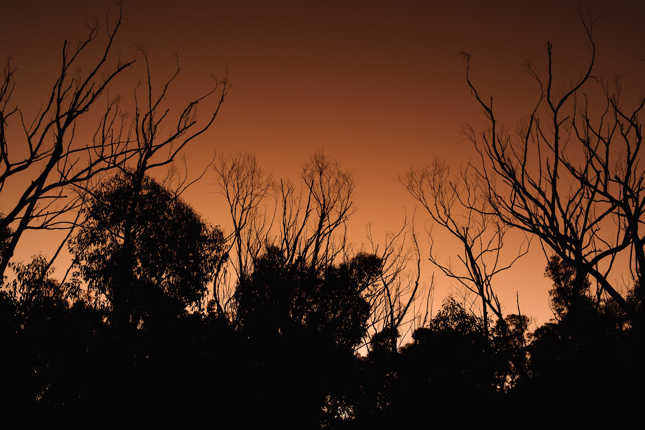 20220723 - Girraween Backpacking - 175559-Nick-Bedford,-Photographer-Australia, Backpacking, Fujifilm 23mm F2, Fujifilm X-Pro3, Girraween National Park, Granite Belt, Hiking, Mountains, Nature, Overnight, Queensland, Trekking.jpg