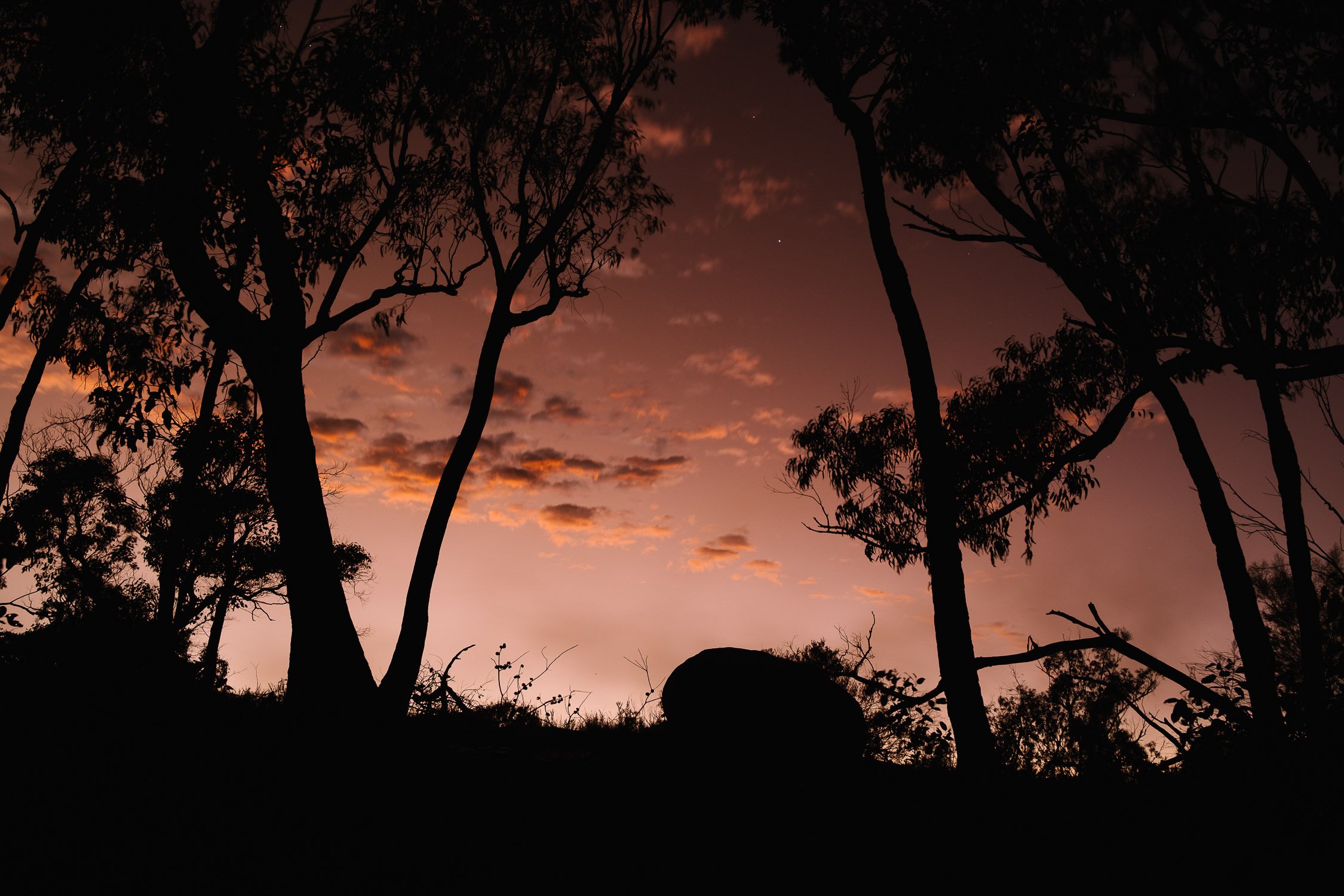 20220724 - Girraween Backpacking - 055822-Nick-Bedford,-Photographer-Australia, Backpacking, Fujifilm 23mm F2, Fujifilm X-Pro3, Girraween National Park, Granite Belt, Hiking, Mountains, Nature, Overnight, Queensland, Trekking.jpg