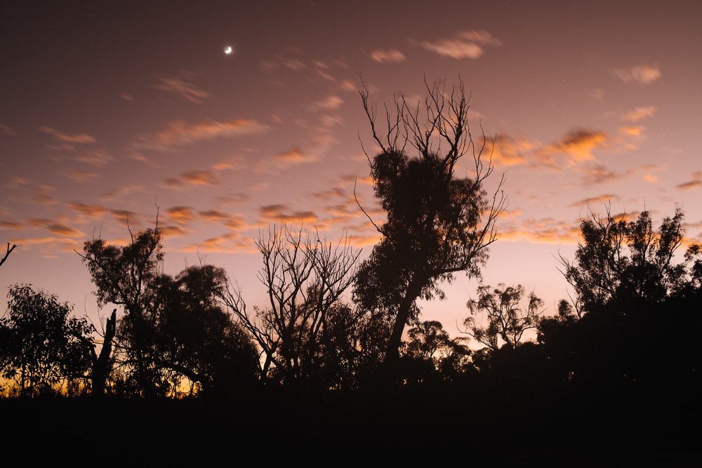 20220724 - Girraween Backpacking - 060347-Nick-Bedford,-Photographer-Australia, Backpacking, Fujifilm 23mm F2, Fujifilm X-Pro3, Girraween National Park, Granite Belt, Hiking, Mountains, Nature, Overnight, Queensland, Trekking.jpg