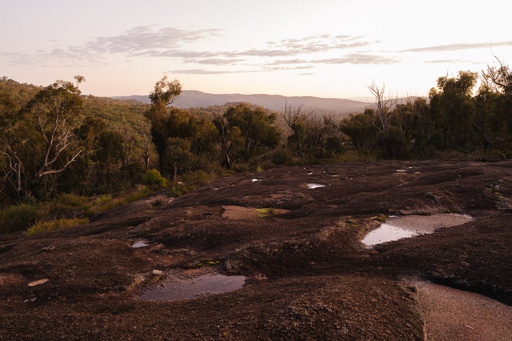 20220724 - Girraween Backpacking - 062501-Nick-Bedford,-Photographer-Australia, Backpacking, Fujifilm 23mm F2, Fujifilm X-Pro3, Girraween National Park, Granite Belt, Hiking, Mountains, Nature, Overnight, Queensland, Trekking.jpg