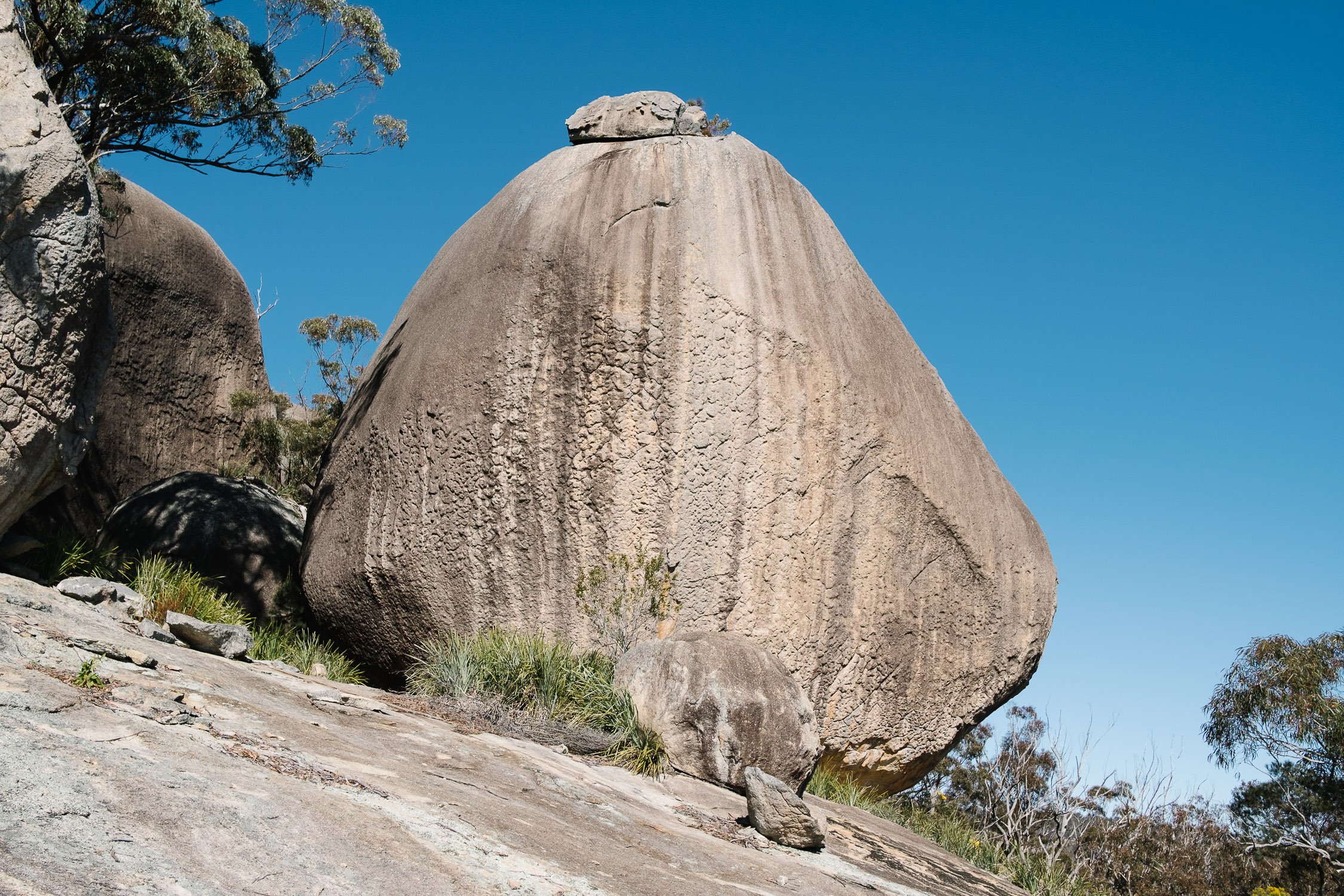 20220724 - Girraween Backpacking - 103309-Nick-Bedford,-Photographer-Australia, Backpacking, Fujifilm 23mm F2, Fujifilm X-Pro3, Girraween National Park, Granite Belt, Hiking, Mountains, Nature, Overnight, Queensland, Trekking.jpg