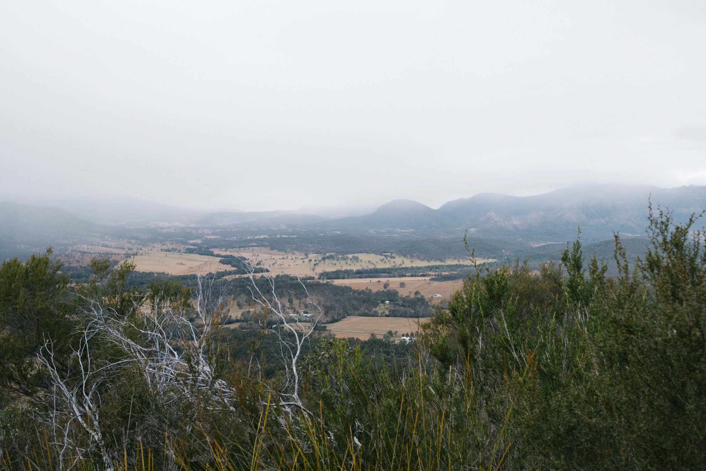 20220731 - Mount Greville - 072608-Nick-Bedford,-Photographer-Australia, Fujifilm 23mm F2, Fujifilm X-Pro3, Hiking, Landscape, Mountains, Nature, Queensland, Scenic Rim.jpg
