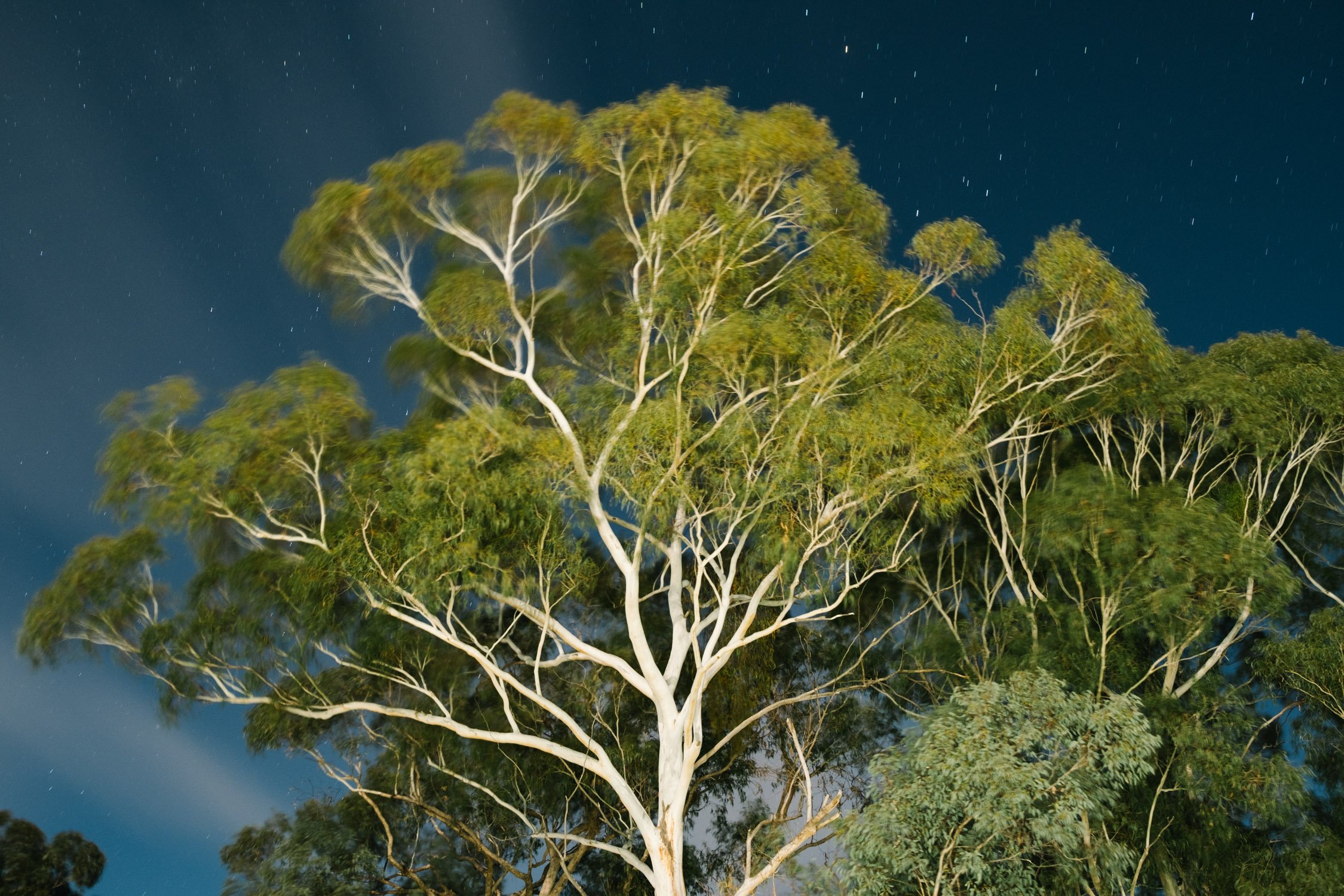 20220910 - Girraween Camping - 193731-Nick-Bedford,-Photographer-Camping, Fujifilm 23mm F2, Fujifilm X-Pro3, Girraween National Park, Granite Belt, Hiking, Mountains.jpg