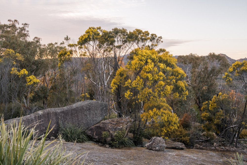 20220911 - Girraween Camping - 060550-2-HDR-Nick-Bedford,-Photographer-Camping, Fujifilm 23mm F2, Fujifilm X-Pro3, Girraween National Park, Granite Belt, Hiking, Mountains.jpg