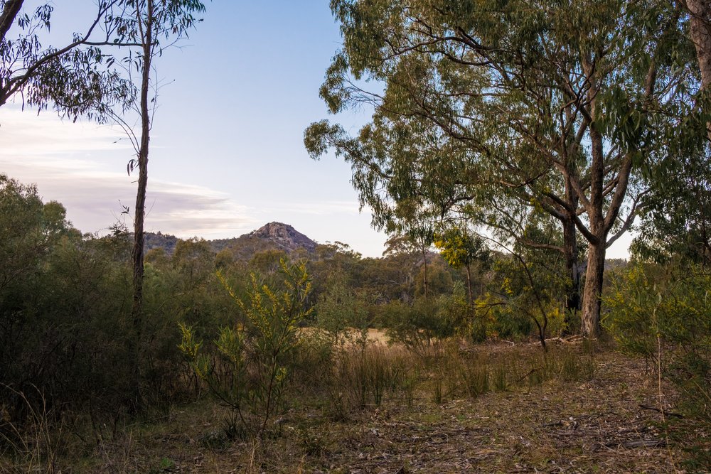 20220911 - Girraween Camping - 062039-HDR-Nick-Bedford,-Photographer-Camping, Fujifilm 23mm F2, Fujifilm X-Pro3, Girraween National Park, Granite Belt, Hiking, Mountains.jpg