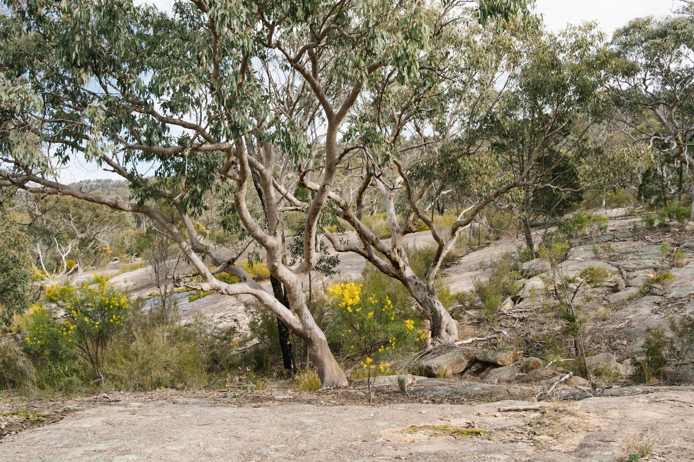 20220911 - Girraween Camping - 085002-Nick-Bedford,-Photographer-Camping, Fujifilm 23mm F2, Fujifilm X-Pro3, Girraween National Park, Granite Belt, Hiking, Mountains.jpg