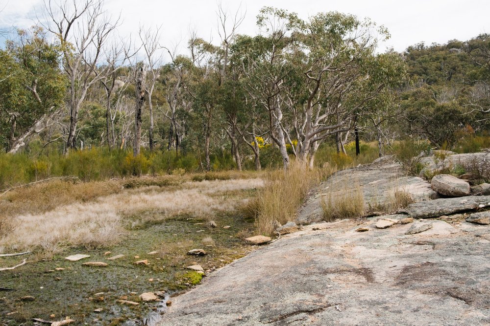 20220911 - Girraween Camping - 085856-Nick-Bedford,-Photographer-Camping, Fujifilm 23mm F2, Fujifilm X-Pro3, Girraween National Park, Granite Belt, Hiking, Mountains.jpg