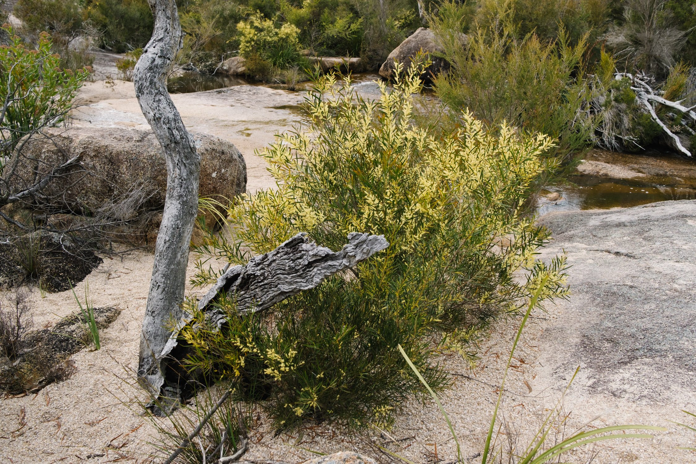 20220911 - Girraween Camping - 090316-Nick-Bedford,-Photographer-Camping, Fujifilm 23mm F2, Fujifilm X-Pro3, Girraween National Park, Granite Belt, Hiking, Mountains.jpg