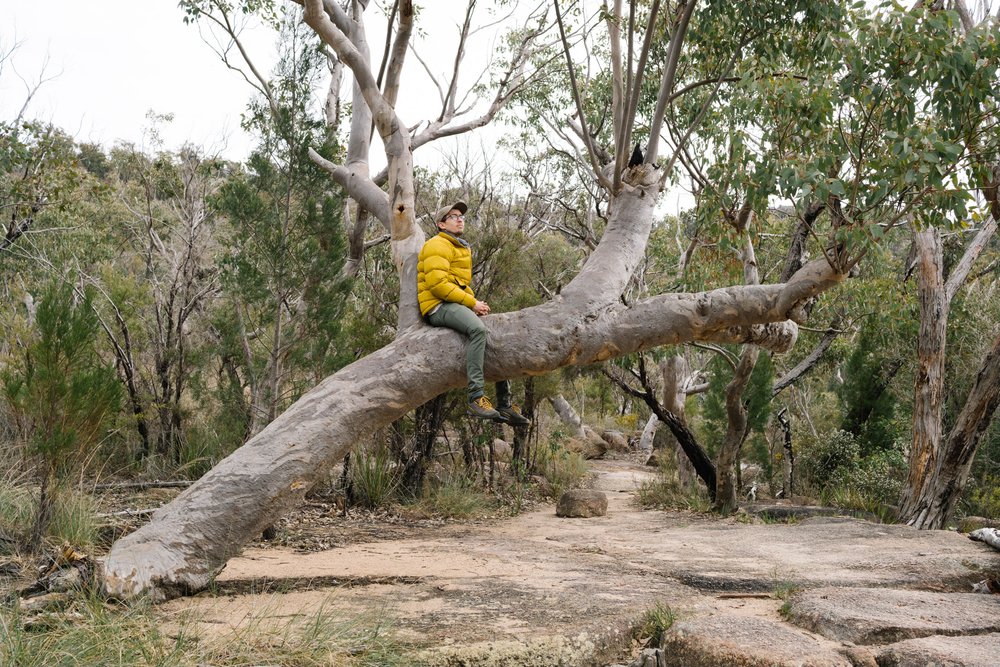 20220911 - Girraween Camping - 093707-Enhanced-Nick-Bedford,-Photographer-Camping, Fujifilm 23mm F2, Fujifilm X-Pro3, Girraween National Park, Granite Belt, Hiking, Mountains.jpg