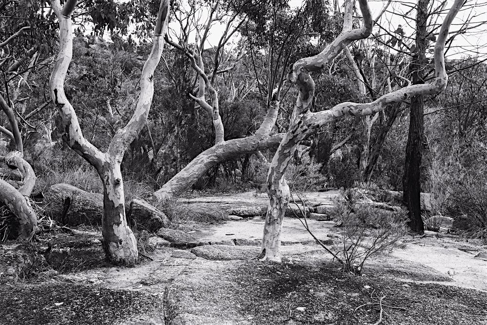 20220911 - Girraween Camping - 093856-Edit-Nick-Bedford,-Photographer-Camping, Fujifilm 23mm F2, Fujifilm X-Pro3, Girraween National Park, Granite Belt, Hiking, Mountains.jpg