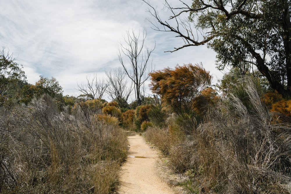 20220911 - Girraween Camping - 102453-Enhanced-Nick-Bedford,-Photographer-Camping, Fujifilm 23mm F2, Fujifilm X-Pro3, Girraween National Park, Granite Belt, Hiking, Mountains.jpg