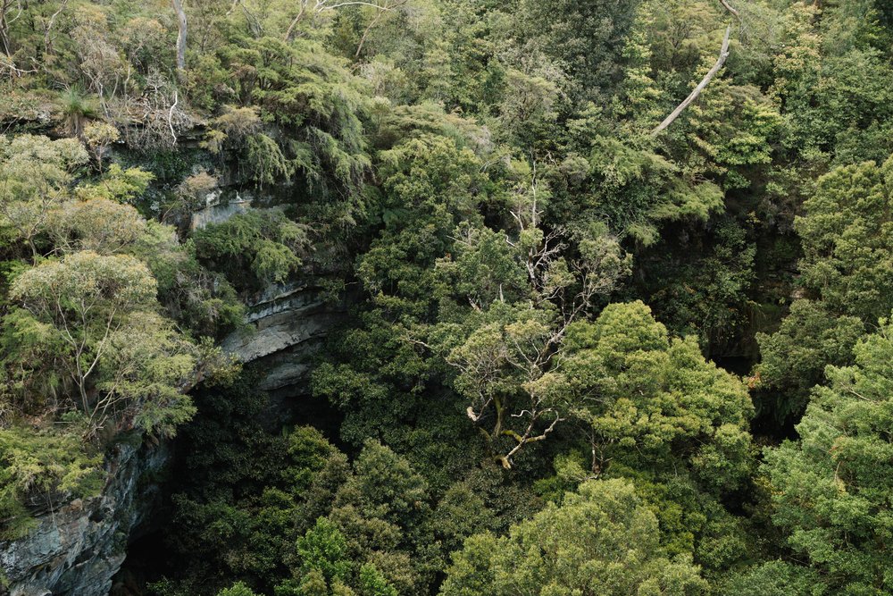 20221107 - Blue Mountains Road Trip - 172254-Enhanced-Nick-Bedford,-Photographer-Blue Mountains, Fujifilm 23mm F2, Fujifilm X-Pro3, Katoomba, Landscape Photography, New South Wales, Travel.jpg