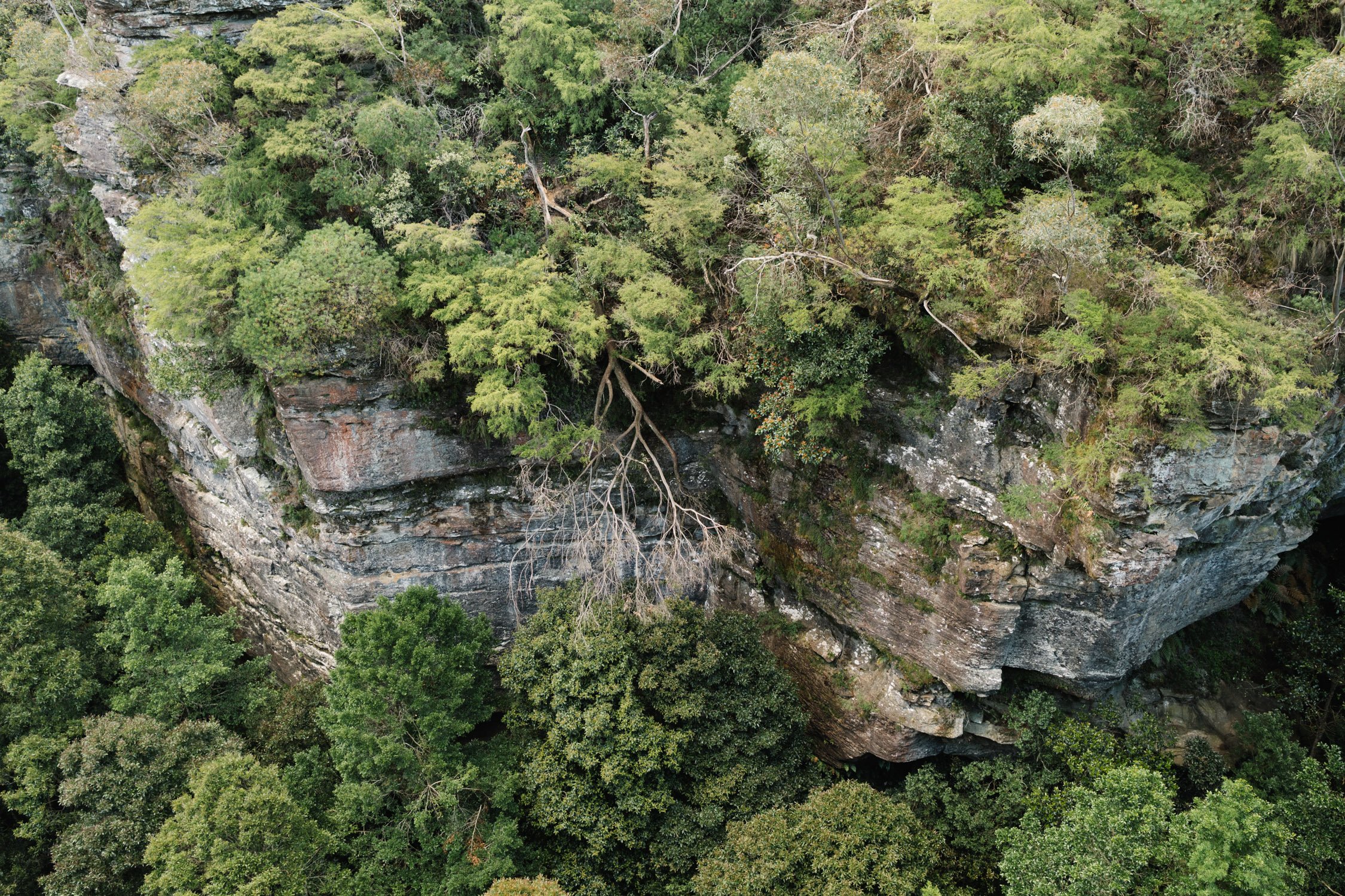 20221107 - Blue Mountains Road Trip - 172308-Enhanced-Nick-Bedford,-Photographer-Blue Mountains, Fujifilm 23mm F2, Fujifilm X-Pro3, Katoomba, Landscape Photography, New South Wales, Travel.jpg