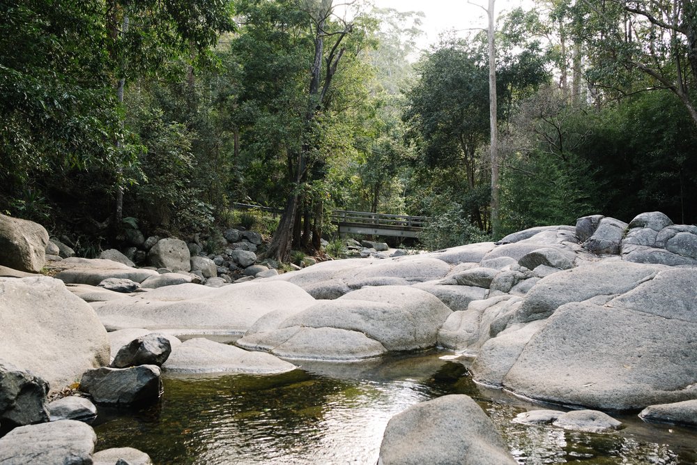 20230422 - Cedar Creek Bouldering - 084743-Nick-Bedford,-Photographer-Fujifilm 23mm F2, Fujifilm X-Pro3, Landscape Photography, Nature, Queensland, Rainforest, Rock Climbing.jpg