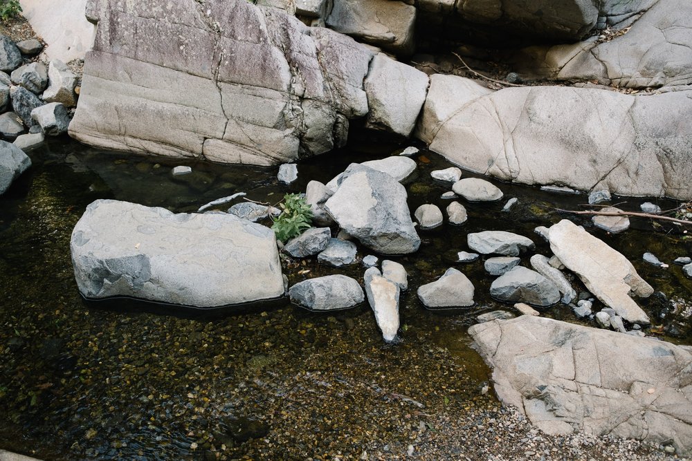 20230422 - Cedar Creek Bouldering - 085639-Nick-Bedford,-Photographer-Fujifilm 23mm F2, Fujifilm X-Pro3, Landscape Photography, Nature, Queensland, Rainforest, Rock Climbing.jpg