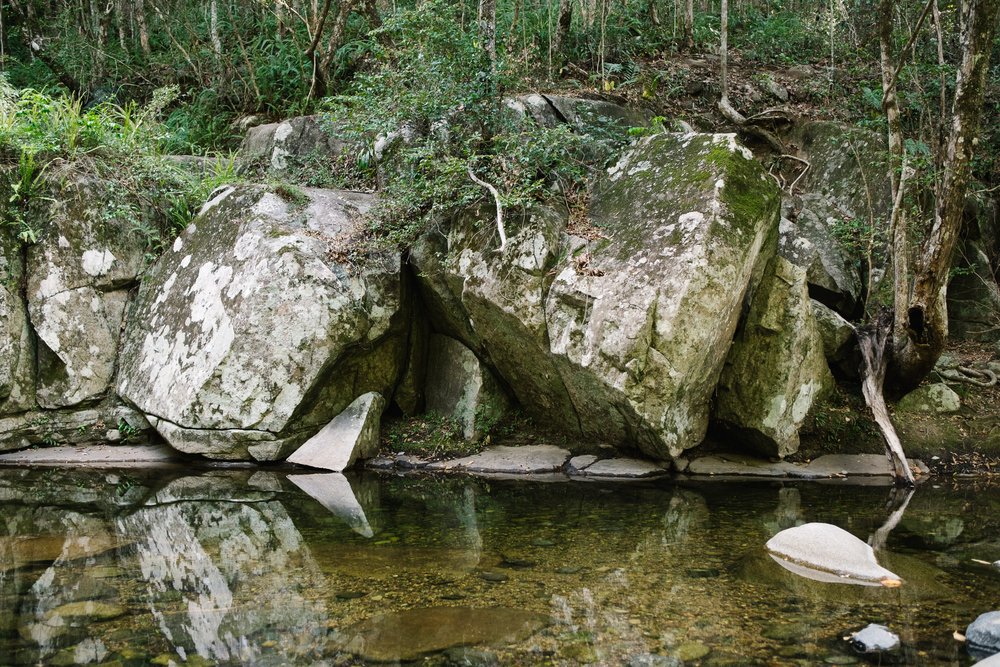 20230422 - Cedar Creek Bouldering - 085912-Nick-Bedford,-Photographer-Fujifilm 23mm F2, Fujifilm X-Pro3, Landscape Photography, Nature, Queensland, Rainforest, Rock Climbing.jpg