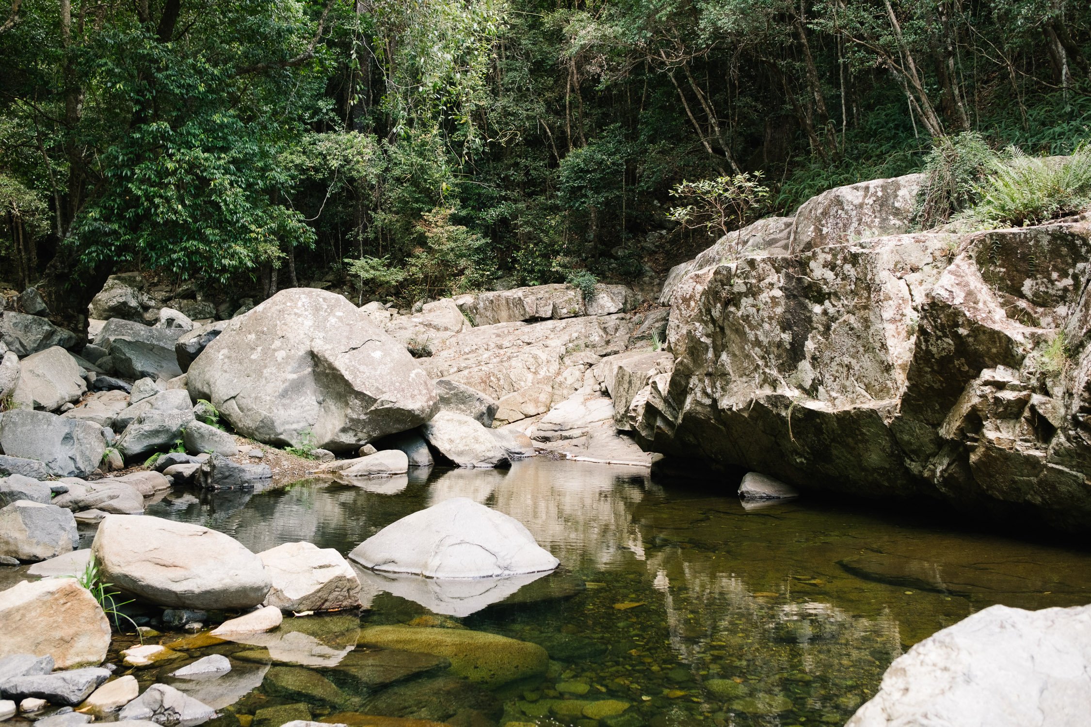 20230422 - Cedar Creek Bouldering - 085950-Nick-Bedford,-Photographer-Fujifilm 23mm F2, Fujifilm X-Pro3, Landscape Photography, Nature, Queensland, Rainforest, Rock Climbing.jpg