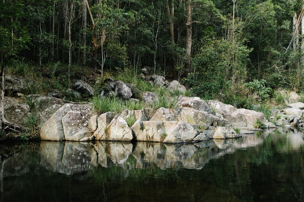 20230422 - Cedar Creek Bouldering - 090359-Nick-Bedford,-Photographer-Fujifilm 23mm F2, Fujifilm X-Pro3, Landscape Photography, Nature, Queensland, Rainforest, Rock Climbing.jpg