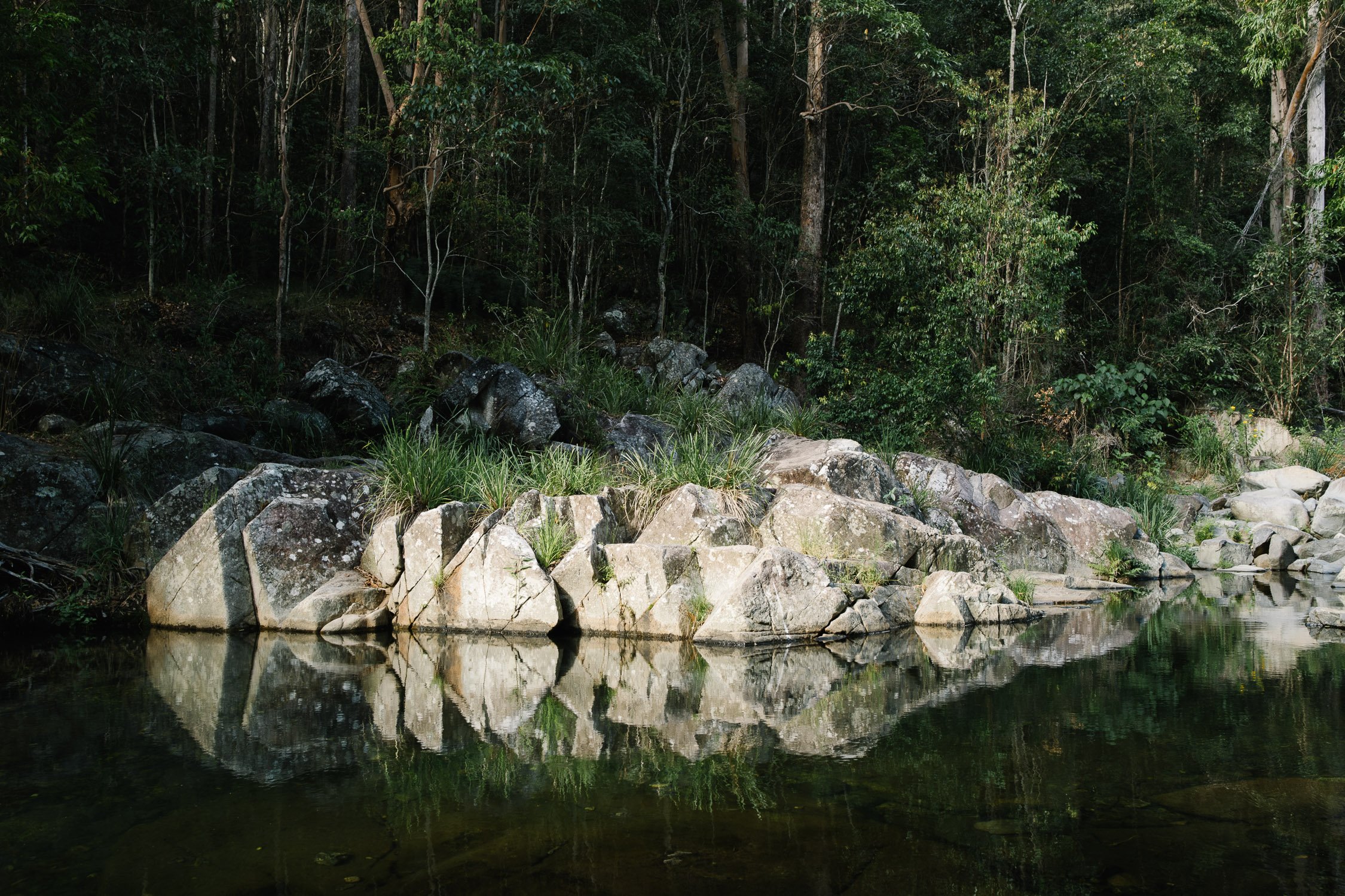 20230422 - Cedar Creek Bouldering - 090450-Enhanced-NR-Nick-Bedford,-Photographer-Fujifilm 23mm F2, Fujifilm X-Pro3, Landscape Photography, Nature, Queensland, Rainforest, Rock Climbing.jpg