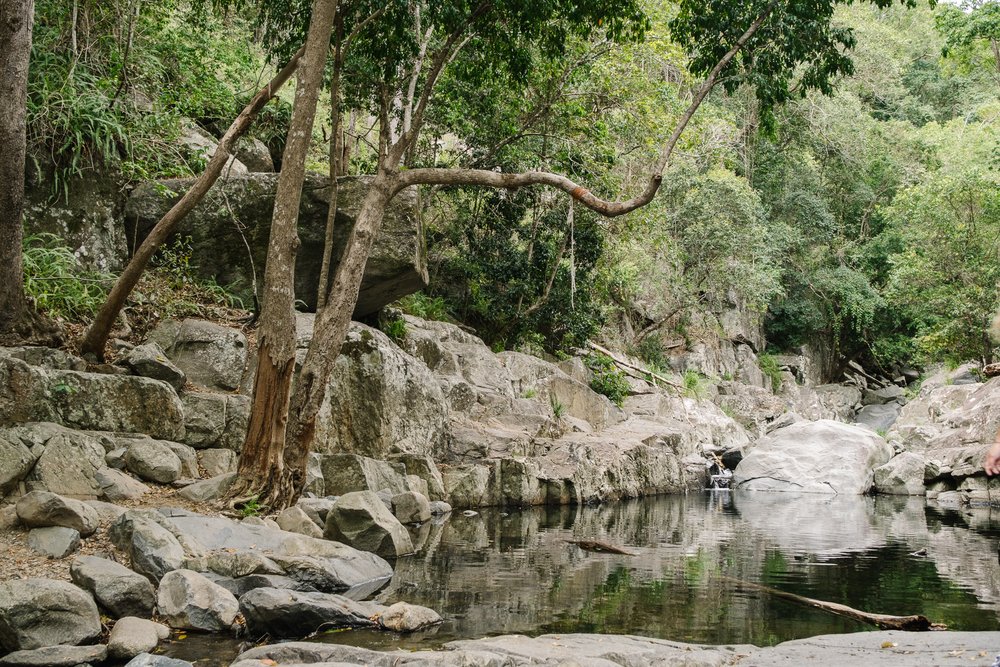 20230422 - Cedar Creek Bouldering - 103841-Nick-Bedford,-Photographer-Fujifilm 23mm F2, Fujifilm X-Pro3, Landscape Photography, Nature, Queensland, Rainforest, Rock Climbing.jpg