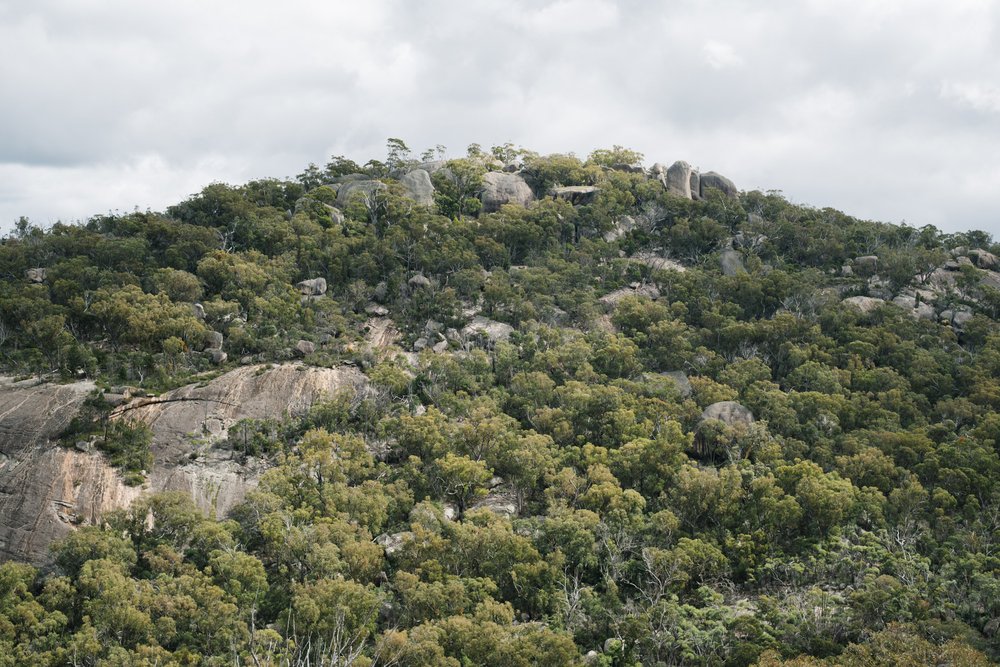 20230430 - Girraween National Park - 115431-Enhanced-NR-Nick-Bedford,-Photographer-Fujifilm 50mm F1.4 R, Fujifilm X-Pro3, Granite Belt, Hiking, Mountains, Queensland.jpg