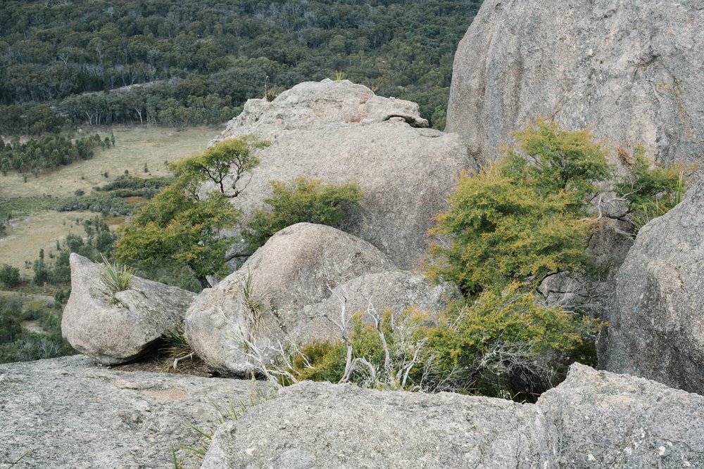 20230430 - Girraween National Park - 120655-Enhanced-NR-Nick-Bedford,-Photographer-Fujifilm 50mm F1.4 R, Fujifilm X-Pro3, Granite Belt, Hiking, Mountains, Queensland.jpg