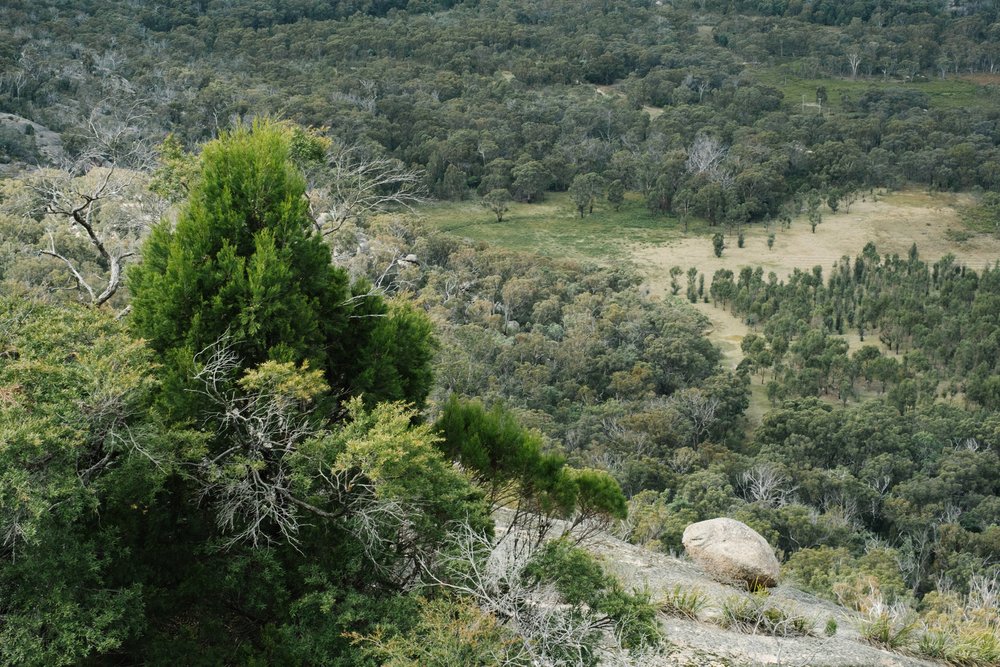 20230430 - Girraween National Park - 122657-Nick-Bedford,-Photographer-Fujifilm 50mm F1.4 R, Fujifilm X-Pro3, Granite Belt, Hiking, Mountains, Queensland.jpg