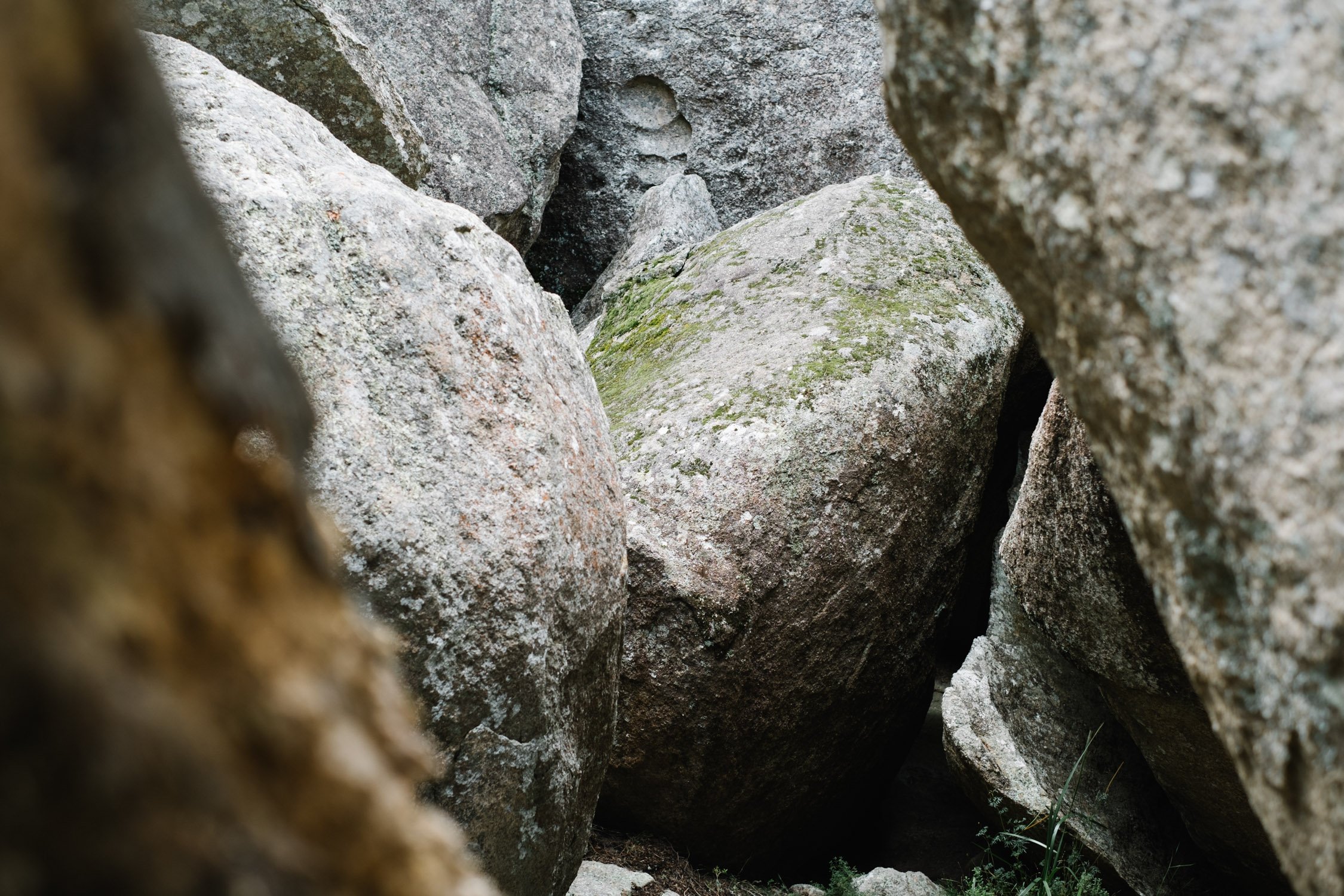 20230430 - Girraween National Park - 124405-Nick-Bedford,-Photographer-Fujifilm 50mm F1.4 R, Fujifilm X-Pro3, Granite Belt, Hiking, Mountains, Queensland.jpg