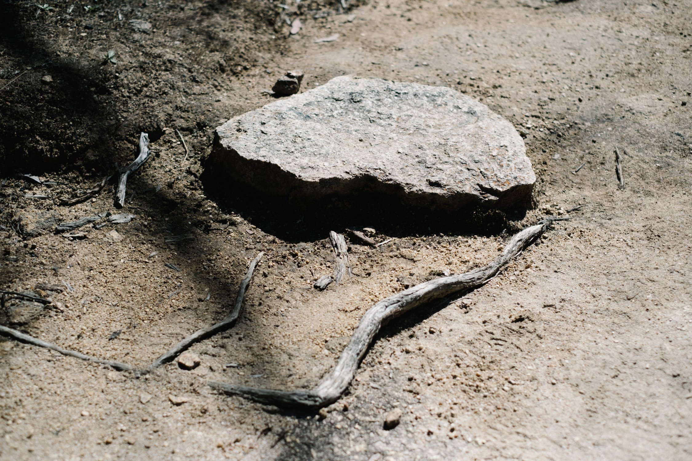 20230501 - Girraween National Park - 114928-Nick-Bedford,-Photographer-Fujifilm 50mm F1.4 R, Fujifilm X-Pro3, Granite Belt, Hiking, Mountains, Queensland.jpg