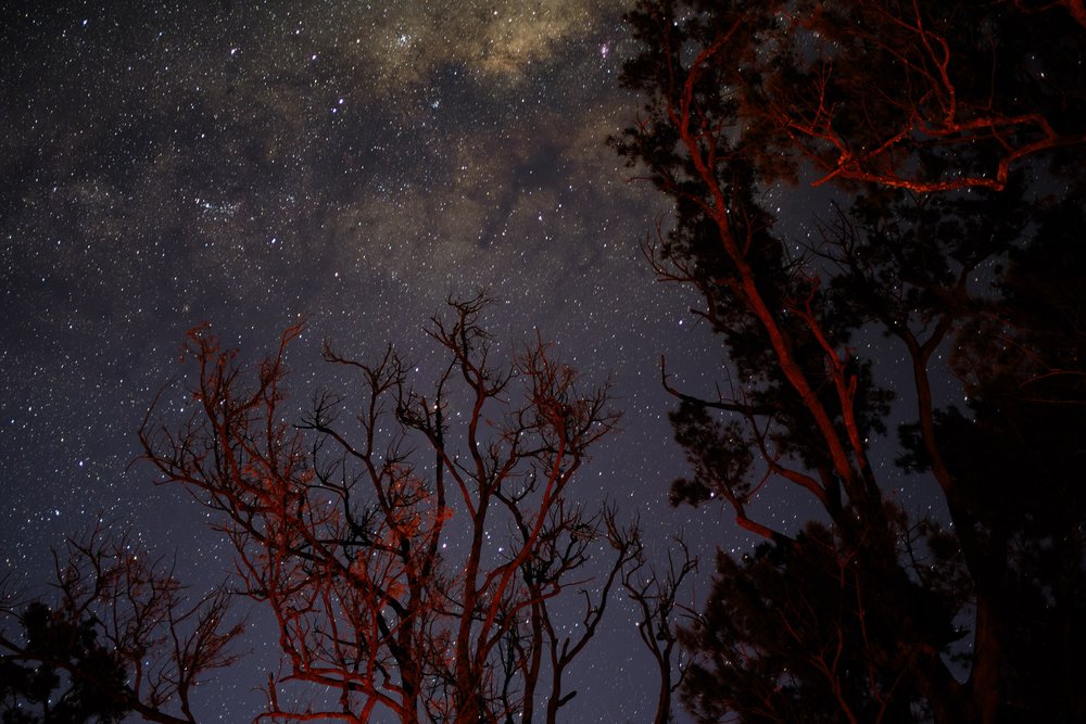 20230917 - Warrumbungle Camping Trip - 184237-Enhanced-NR-Nick-Bedford,-Photographer-Astrophotography, Australia, Fujifilm 23mm F2, Fujifilm X-Pro3, Hiking, Landscape Photography, New South Wales.jpg