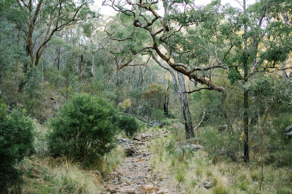 20230919 - Warrumbungle Camping Trip - 080148-Enhanced-NR-Nick-Bedford,-Photographer-Astrophotography, Australia, Fujifilm 23mm F2, Fujifilm X-Pro3, Hiking, Landscape Photography, New South Wales.jpg