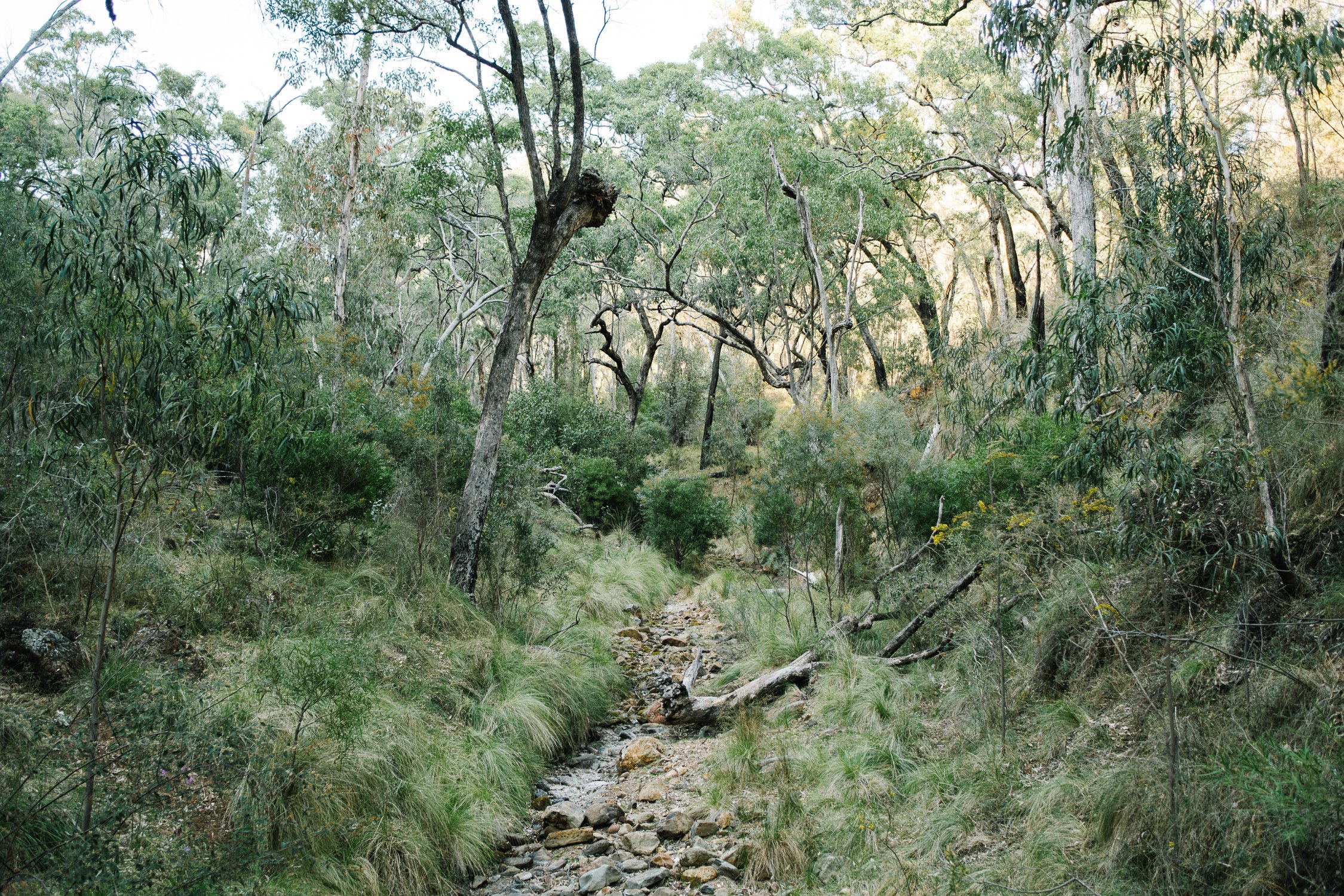 20230919 - Warrumbungle Camping Trip - 080613-Enhanced-NR-Nick-Bedford,-Photographer-Astrophotography, Australia, Fujifilm 23mm F2, Fujifilm X-Pro3, Hiking, Landscape Photography, New South Wales.jpg
